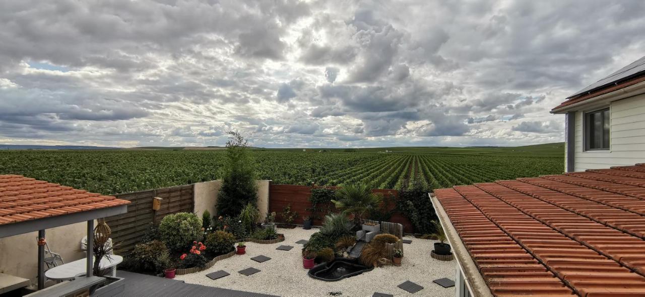 Au Bouchon Champenois Bed & Breakfast Bouzy Eksteriør bilde